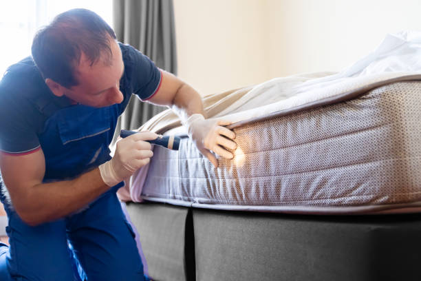 Best Bed Bug Extermination  in Richfield, UT